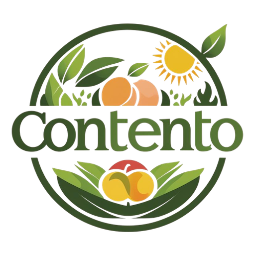 Contento Holdings
